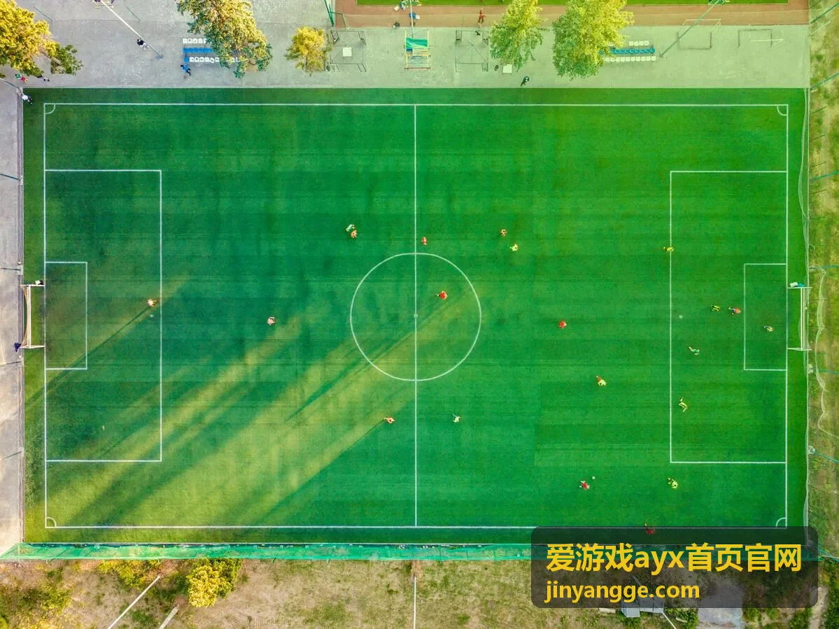 爱游戏ayx首页官网客服响应时段与工单跟进说明配图