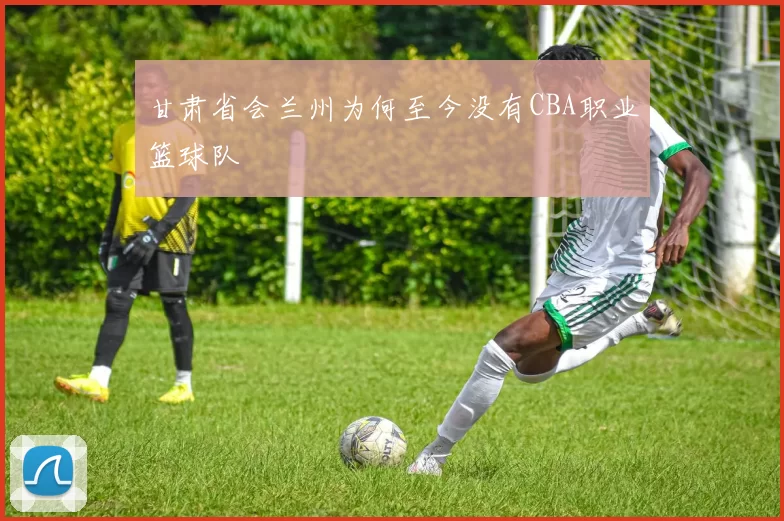 甘肃省会兰州为何至今没有CBA职业篮球队