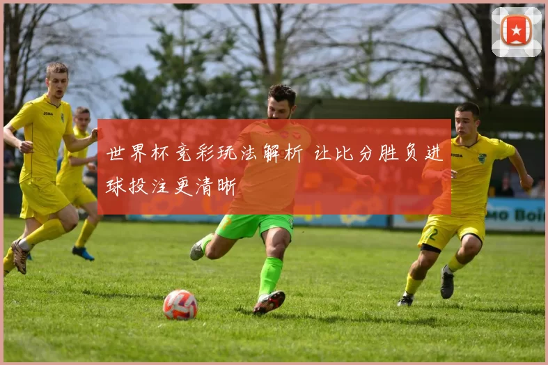 世界杯竞彩玩法解析 让比分胜负进球投注更清晰