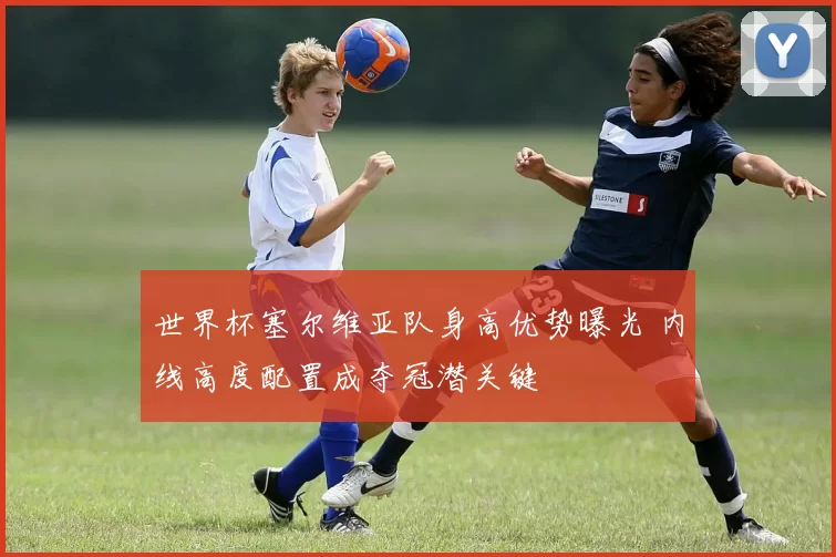 世界杯塞尔维亚队身高优势曝光 内线高度配置成夺冠潜关键