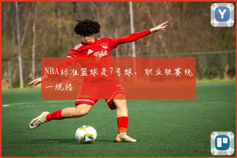 NBA标准篮球是7号球，职业联赛统一规格