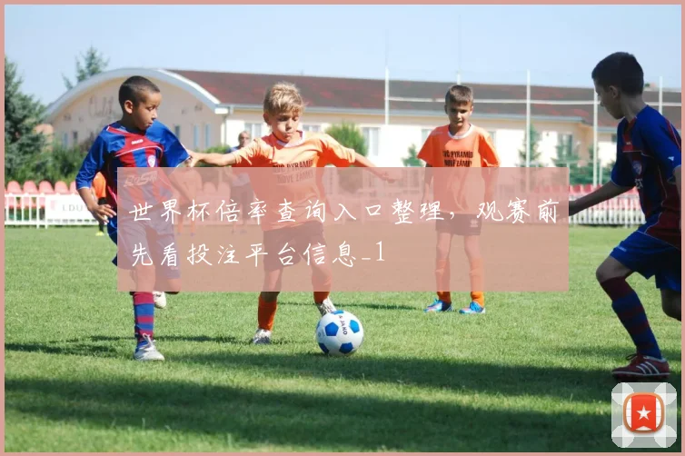 世界杯倍率查询入口整理,观赛前先看投注平台信息_1