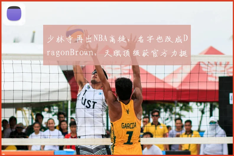 少林寺再出NBA高徒,名字也改成DragonBrown,天赋顶级获官方力挺