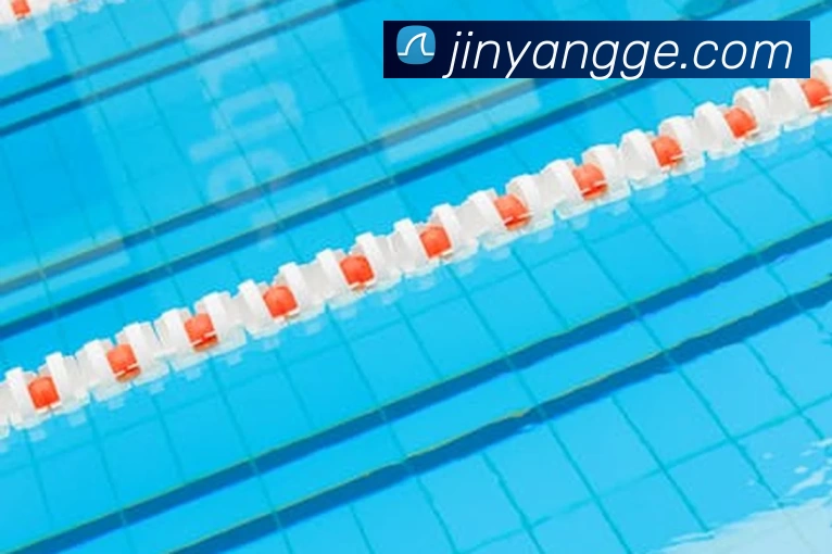 世界杯官网平台平台生态图